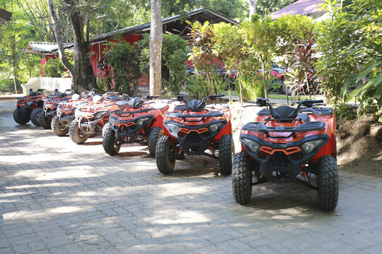 Exciting row of powerful red ATV quad bike vehicle ready for fun adventure travel excursion nature park forest outdoor with green tree plant leaf background bright sunny summer holiday light