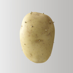 3D Render of Washed Potato Closeup on White Background