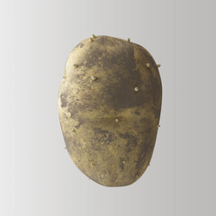 Dirty Potato Closeup White Background 3D Render
