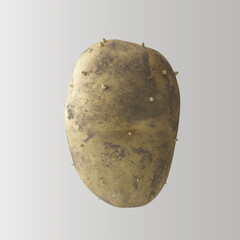 Dirty Potato Closeup White Background 3D Render
