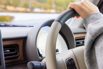 20代 女性 車 運転 顔なし イメージ