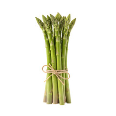 Fresh Green Asparagus Bundled with Twine on a White Background
