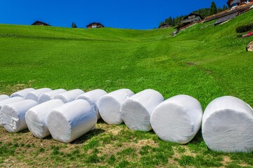 White plastic wrapped hay bales on a green hillside