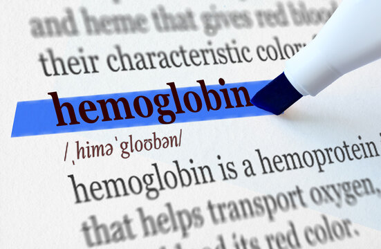 the definition of the word hemoglobin highlighted in blue