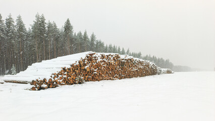 A stack of cut timber lies in the snow. A pine forest is in the background. Snow is falling heavily.