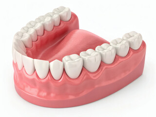 Obraz premium Dentures and False Teeth – Dental Healthcare Illustration