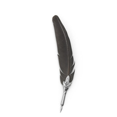 Black feather quill pen isolated minimal view
