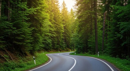A winding road through a dense forest with sunlight filtering through the trees.