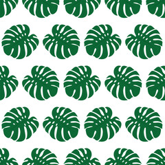 Seamless pattern with green monstera leaves on white background. © YULIYA