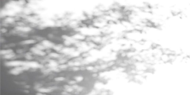 Abstract gobo light texture on concrete background. Vector realistic illustration of tree leaf and sunlight shadows on wall, natural pattern with floral silhouettes on white surface, summer garden bg