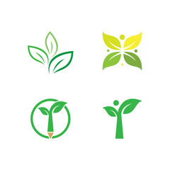 Green leaf illustration