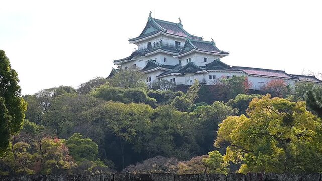 秋の和歌山城 （和歌山県和歌山市, 2025年12月）