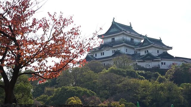 秋の和歌山城 （和歌山県和歌山市, 2025年12月）