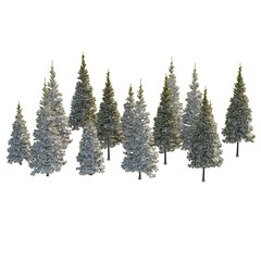 Fototapeta premium Fir (conifer) snow covered set isolated transparent background 3d rendering PNG 16 bit with alpha channel 