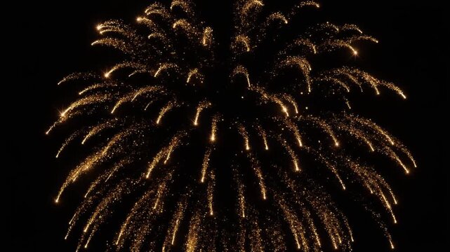 Golden fireworks exploding in the dark night sky, celebrating a special occasion with a dazzling display of light and color