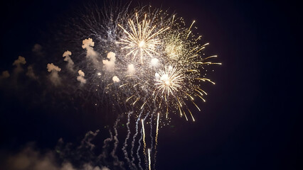 Dazzling fireworks display in the night sky