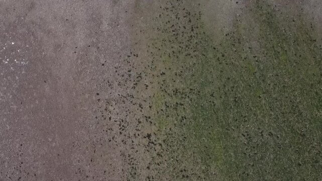 Drone shot of Dunster Beach, West Somerset, UK