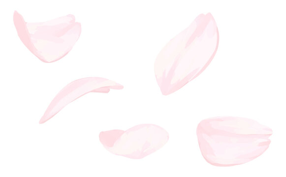 桜_手描きイラスト_舞い散る花びらCS2