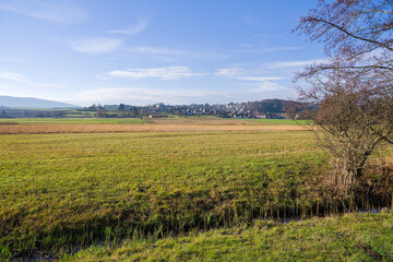 Scenic rural landscape with meadow and blue sky background with Neeracherried nature reserve in the background on a sunny autumn day. Photo taken December 20th, 2025, Zurich H&ouml;ri, Switzerland.