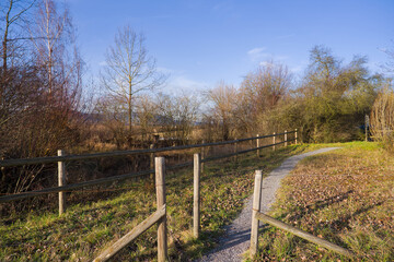 Scenic rural landscape with meadow and blue sky background with Neeracherried nature reserve in the background on a sunny autumn day. Photo taken December 20th, 2025, Zurich H&ouml;ri, Switzerland.