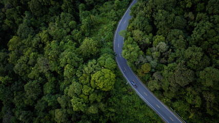 Adventure morning road trip in the forest, electric vehicle driving on asphalt road through green forest.