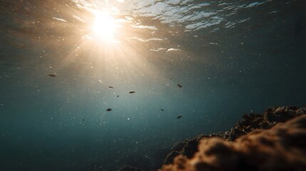 Naklejka premium Sunlight streams through the ocean s surface illuminating a coral reef with schools of fish