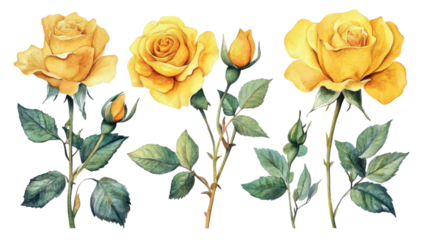 Spring watercolor bouquet with red tulips hand painted floral arrangement fresh seasonal blossoms botanical art isolated on white background