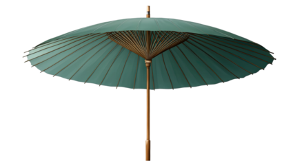 Elegant green umbrella with wooden handle classic rain accessory refined canopy curved grip weather protection isolated on white background