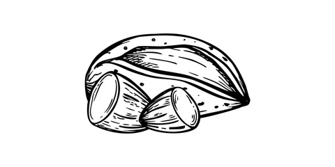 Whole almond in cracked shell and two peeled halves monochrome vector composition painted by black inks. Almonds illustration for food packaging, nutritional guides, medical articles about benefits