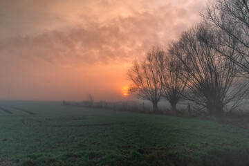 Nebliger Sonnenaufgang &uuml;ber Feldlandschaft mit B&auml;umen , Ein nebliger Morgen zeigt eine ruhige Feldlandschaft mit B&auml;umen am Horizont, w&auml;hrend die Sonne warm durch den Dunst aufsteigt. Weiche Farbverl&auml;u