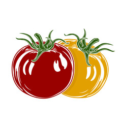 Red and yellow ripe tomatoes with green stems without background.