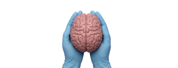 Person wearing blue gloves holding brain model symbolizing mental health and neurological care