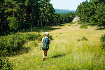 Woman hiking through a summer mountain forest landscape