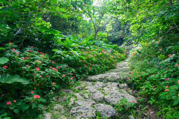 垣花樋川（かきのはなひーじゃー） © 安村直樹