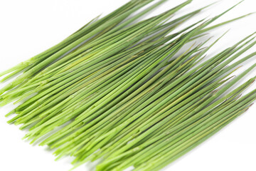 Obraz premium Young Bamboo Shoot Sprout isolated white background