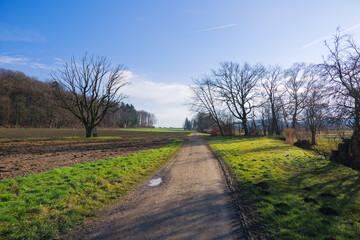 Picturesque idyllic landscape with agriculture field and woodland in the background near Swiss village of H&ouml;ri on a sunny autumn day. Photo taken December 20th, 2025, Zurich H&ouml;ri, Switzerland.