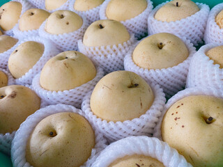 Fresh Asian pears individually wrapped in protective white foam netting, arranged closely together for sale or transport. Related to fresh fruit markets, agricultural exports, grocery retail branding
