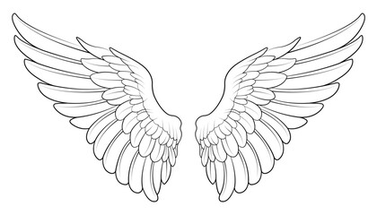 angel wings vector