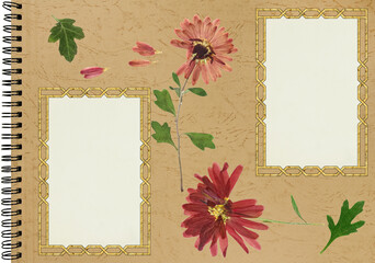 Photo album layout with empty photo frames and dried flowers. Page for history. Scrapbook composition with floral element. Page from photo album. Pressed and dried aster flowers.