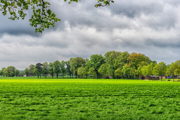 Obraz premium Lush green meadow and treeline under cloudy sky