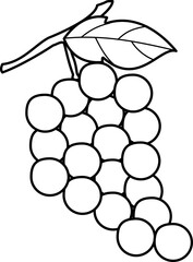 outline illustration of grapes for coloring page