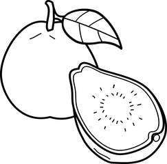 outline illustration of guava for coloring page