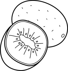 outline illustration of kiwi for coloring page