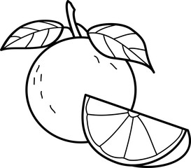 outline illustration of orange for coloring page