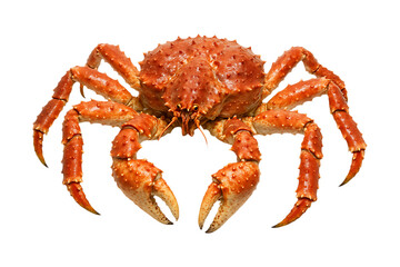 Majestic Red King Crab Seafood Isolated on a Transparent Background