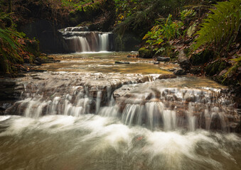 Fototapeta premium Small cascading waterfalls on the Dallington Stream in Dallington Forest on the high weald in east Sussex south east England UK