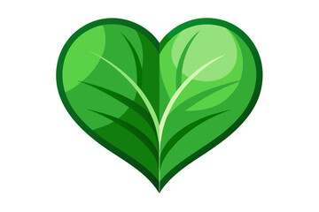 heart shaped leaf
