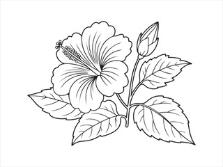 Elegant hibiscus line art tropical flower leaf design vector illustration on white background © Smart Craft SVG