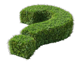 A question mark shaped topiary created from vibrant green grass