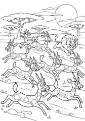 A flock of antelopes is running away from a lion. coloring book